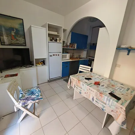 Tulipano
