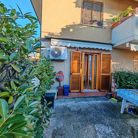 Tulipano Marina Di Carrara