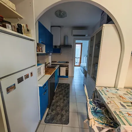 Tulipano