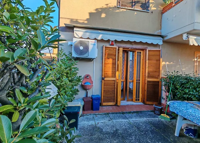 Tulipano Marina Di Carrara