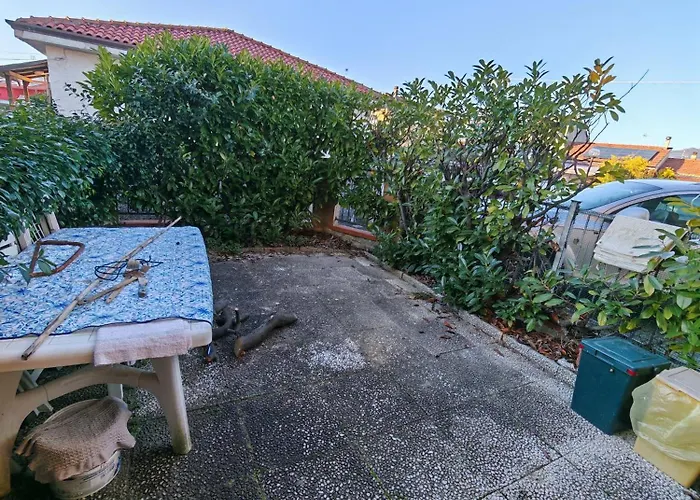 Tulipano * Marina Di Carrara